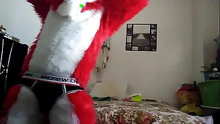 352 furry porn videos